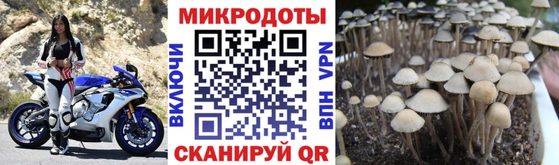 Галлюциногенные грибы MAGIC MUSHROOMS  Суровикино 